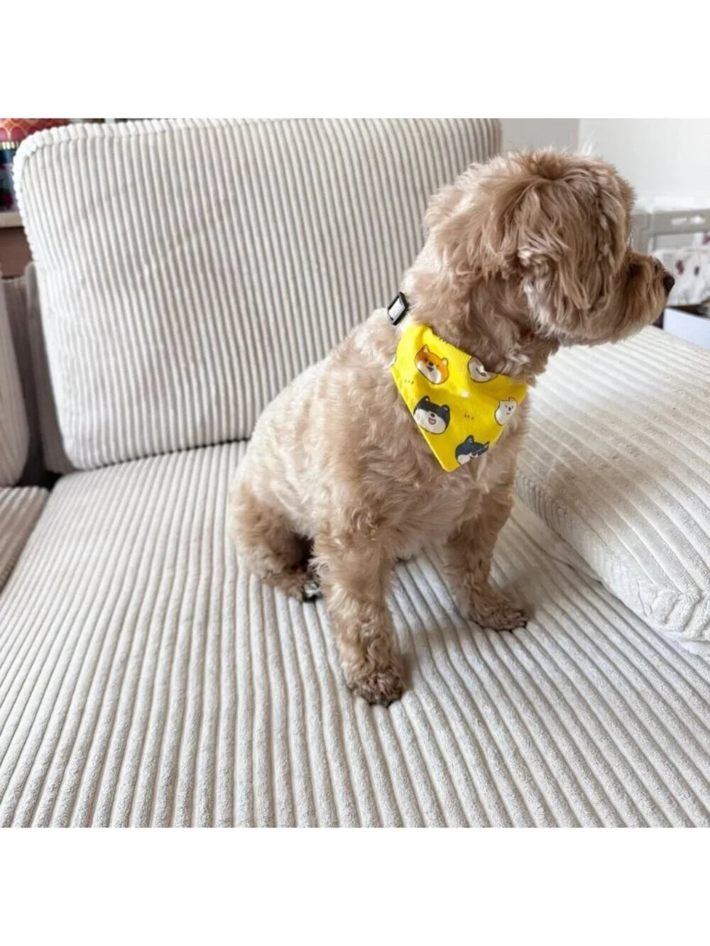 Cute Dog Bandana Collar 7–13 inch Yellow Shiba Print | Adjustable for Small Pet